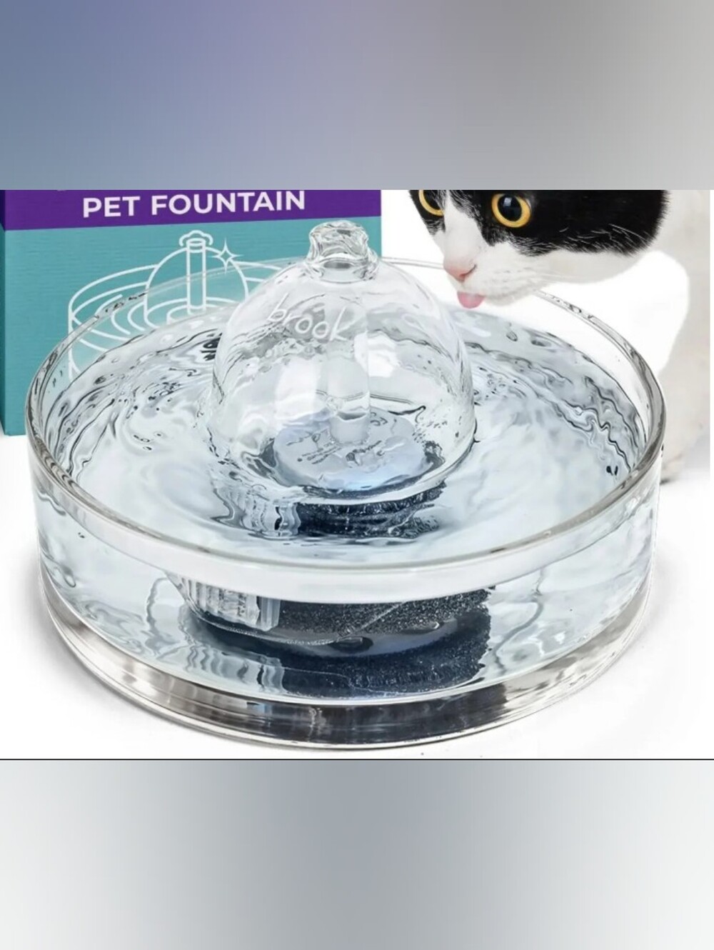 Brook All Glass Pet Fountain